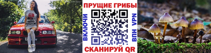 маркетплейс наркотические препараты  Чехов  Псилоцибиновые грибы мухоморы  hydra зеркало 